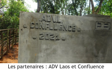 Les partenaires : ADV Laos et Confluence