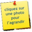 cliquez sur une photo pour l’agrandir